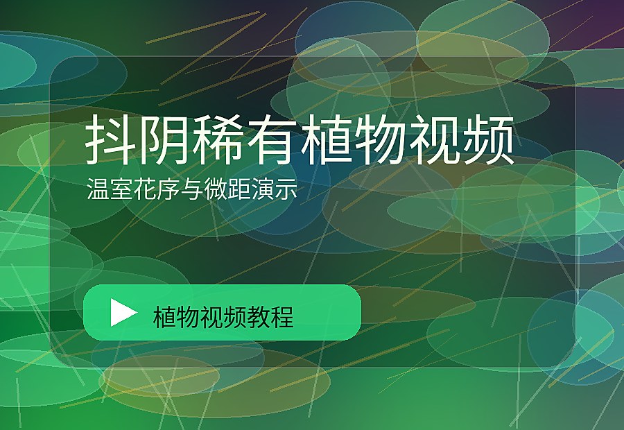 寸光绿影